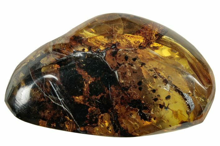 Polished Chiapas Amber ( g) - Mexico #253860